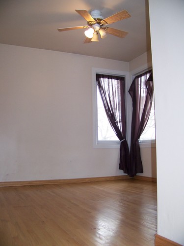 Enlarged view of image