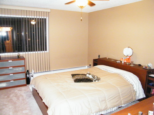 Enlarged view of image