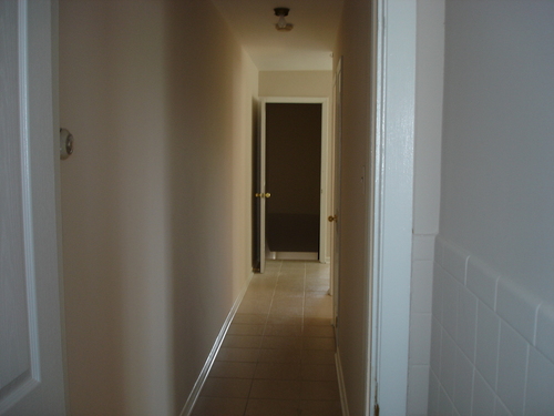 Enlarged view of image