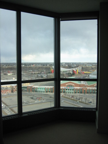 Enlarged view of image