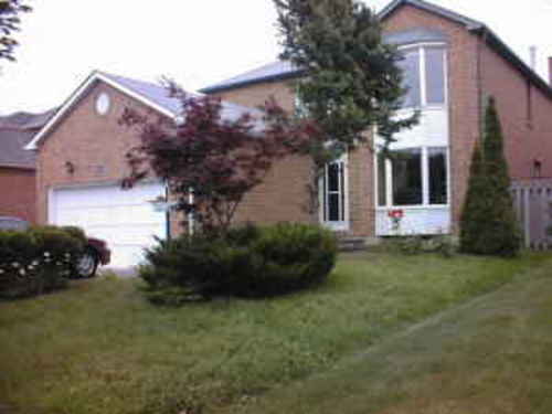 Enlarged view of image