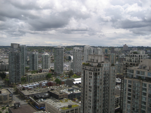 Enlarged view of image
