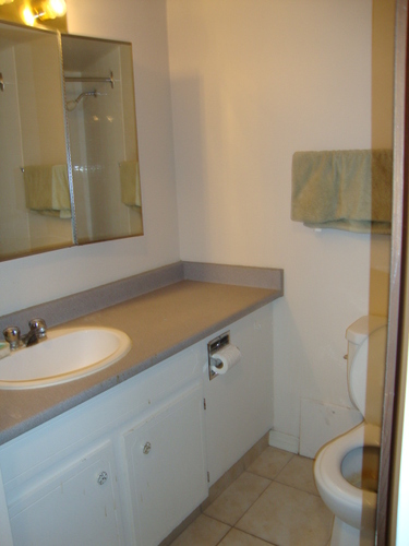 Enlarged view of image