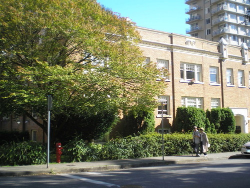 Enlarged view of image