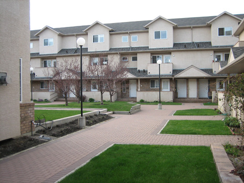 Enlarged view of image