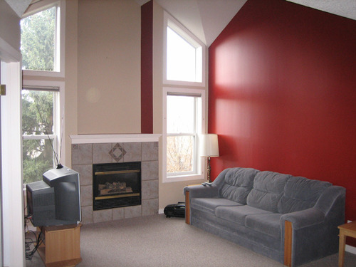 Enlarged view of image