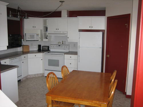 Enlarged view of image