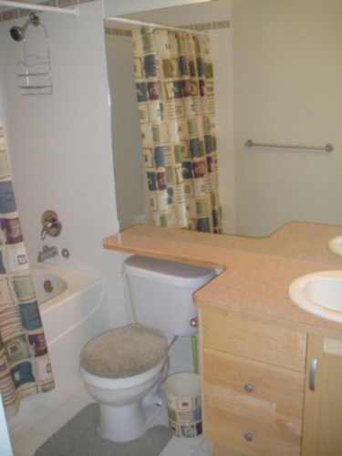 Enlarged view of image