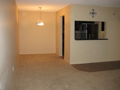 Enlarged view of image