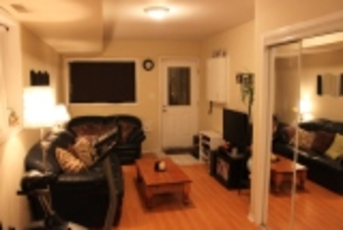 Enlarged view of image